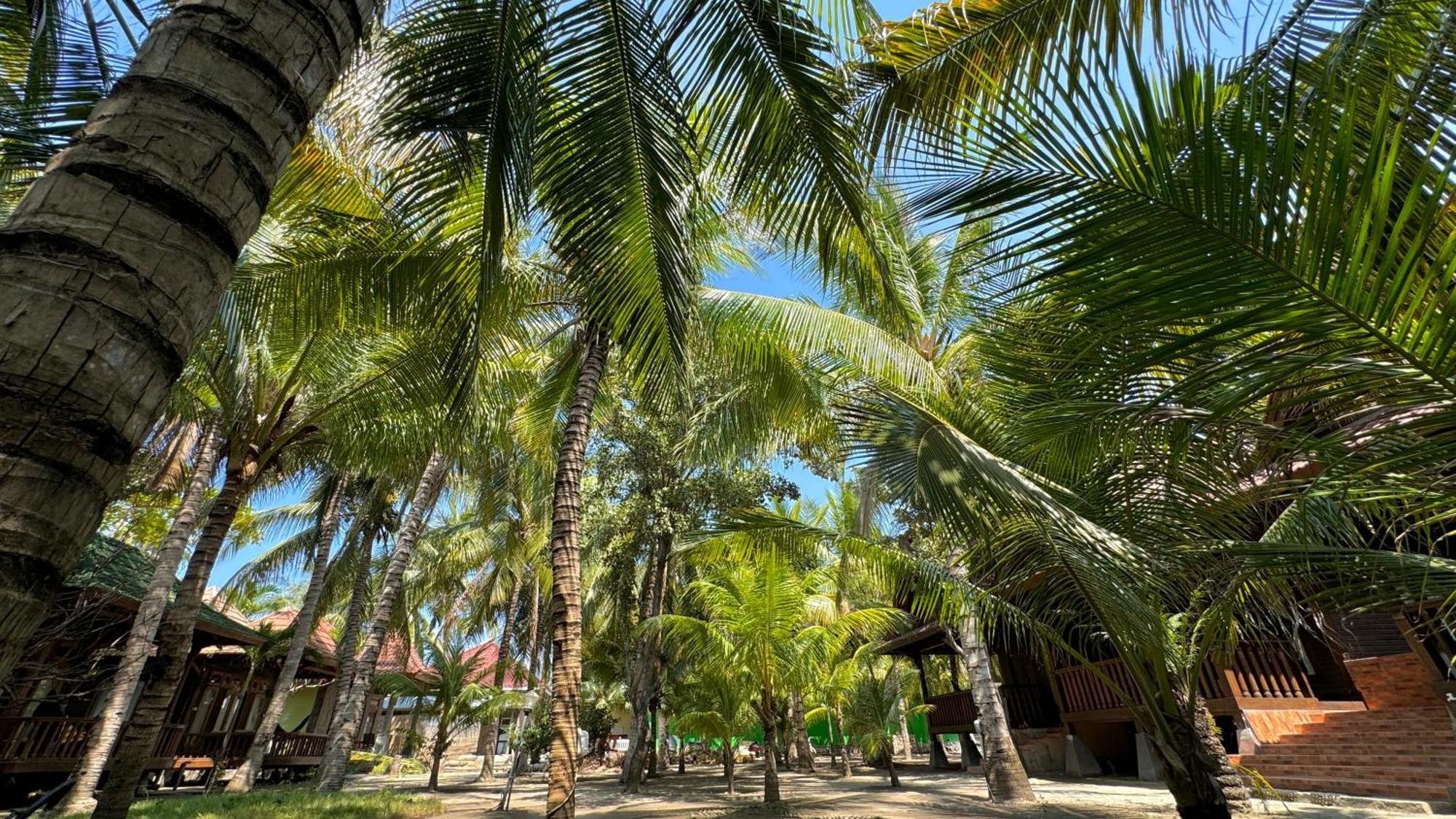 Bronze Bungalows Gili Meno Exterior photo